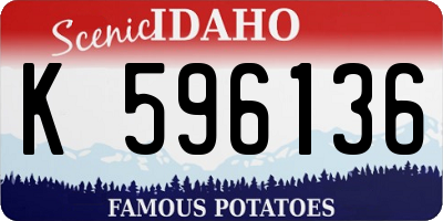 ID license plate K596136