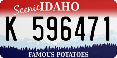 ID license plate K596471
