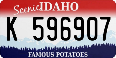 ID license plate K596907