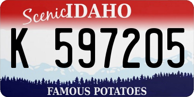 ID license plate K597205