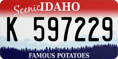 ID license plate K597229