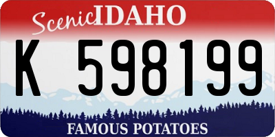 ID license plate K598199