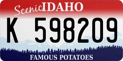 ID license plate K598209
