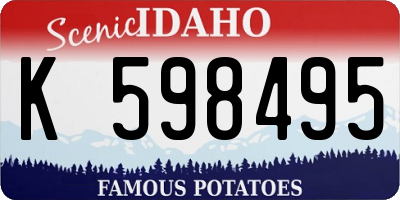 ID license plate K598495