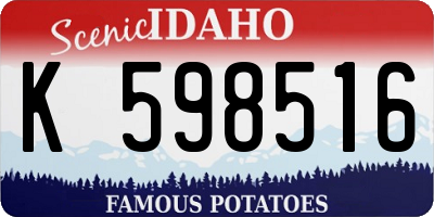 ID license plate K598516
