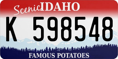 ID license plate K598548