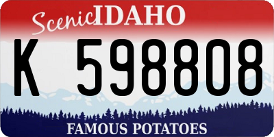 ID license plate K598808