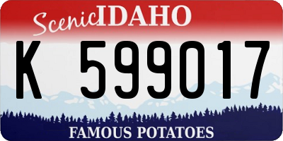 ID license plate K599017