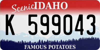 ID license plate K599043