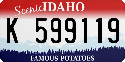 ID license plate K599119