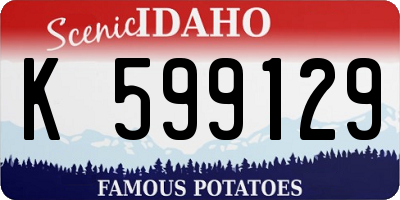 ID license plate K599129