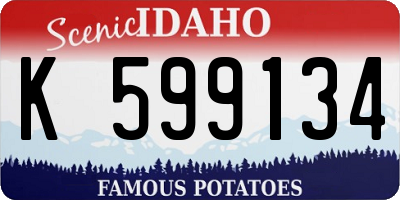 ID license plate K599134