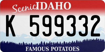 ID license plate K599332