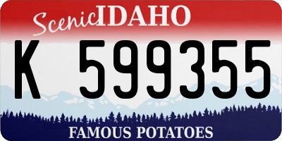 ID license plate K599355