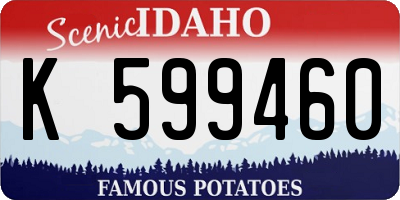 ID license plate K599460