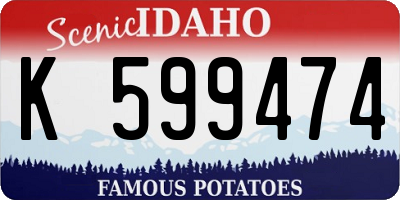 ID license plate K599474