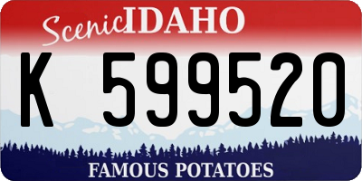 ID license plate K599520