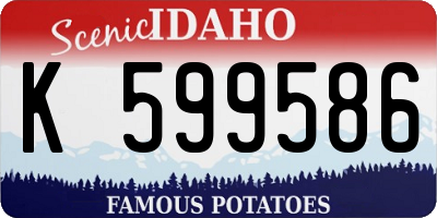 ID license plate K599586