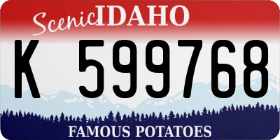 ID license plate K599768