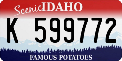 ID license plate K599772
