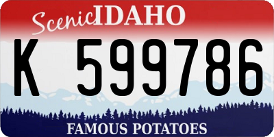 ID license plate K599786