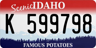 ID license plate K599798