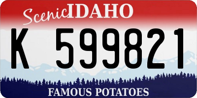 ID license plate K599821