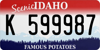 ID license plate K599987