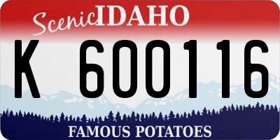 ID license plate K600116