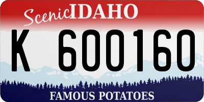 ID license plate K600160