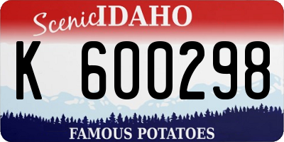 ID license plate K600298