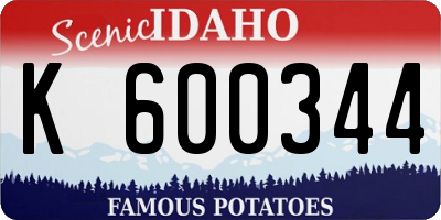 ID license plate K600344