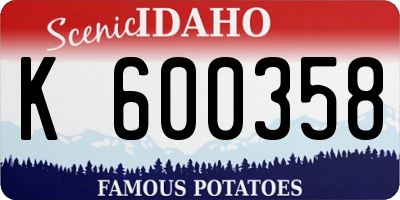 ID license plate K600358