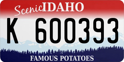 ID license plate K600393