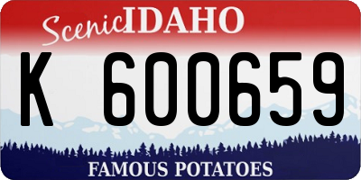 ID license plate K600659