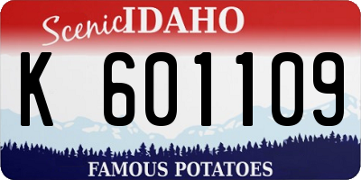 ID license plate K601109
