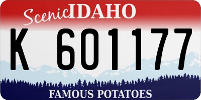 ID license plate K601177
