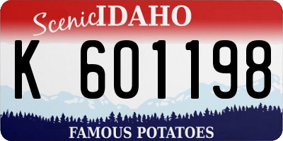 ID license plate K601198