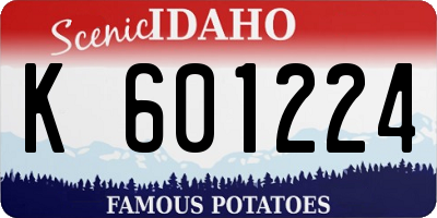 ID license plate K601224
