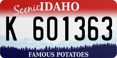 ID license plate K601363