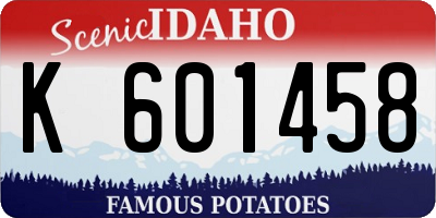 ID license plate K601458