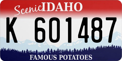 ID license plate K601487