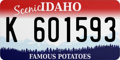 ID license plate K601593