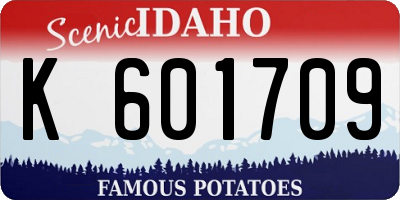ID license plate K601709