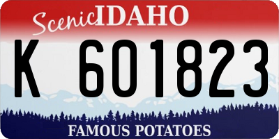 ID license plate K601823