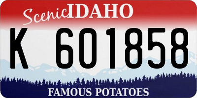ID license plate K601858