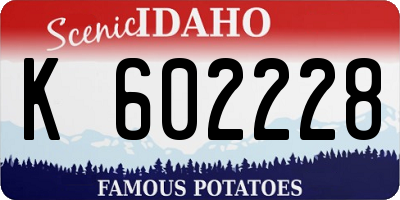 ID license plate K602228