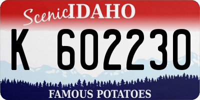 ID license plate K602230