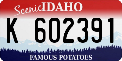 ID license plate K602391