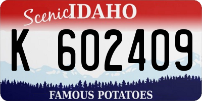 ID license plate K602409